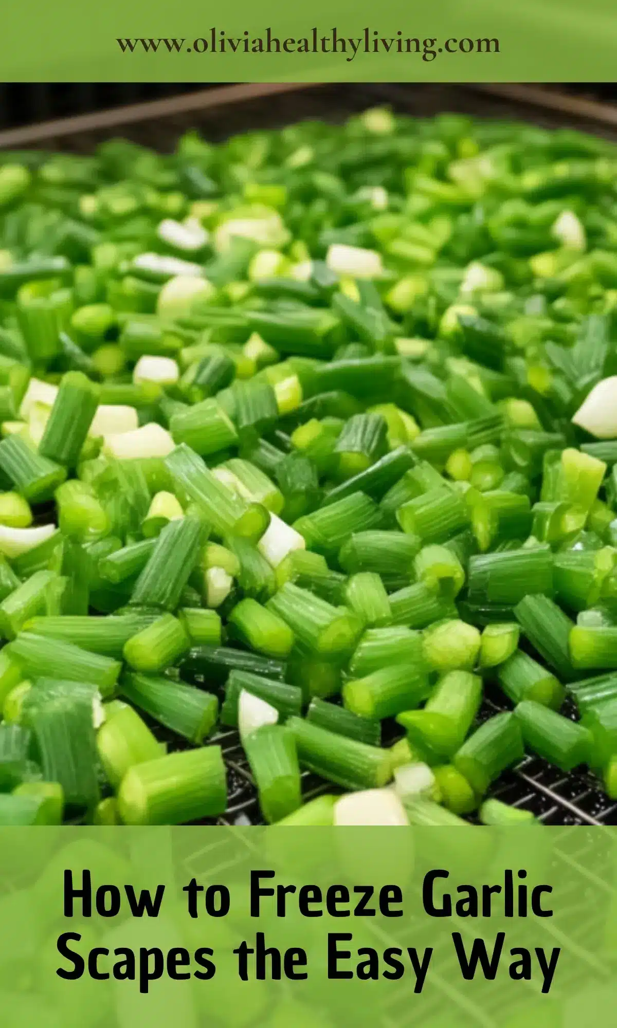 Close-up of chopped garlic scapes in one-inch pieces spread on a wire cooling rack, ready for the freezing process