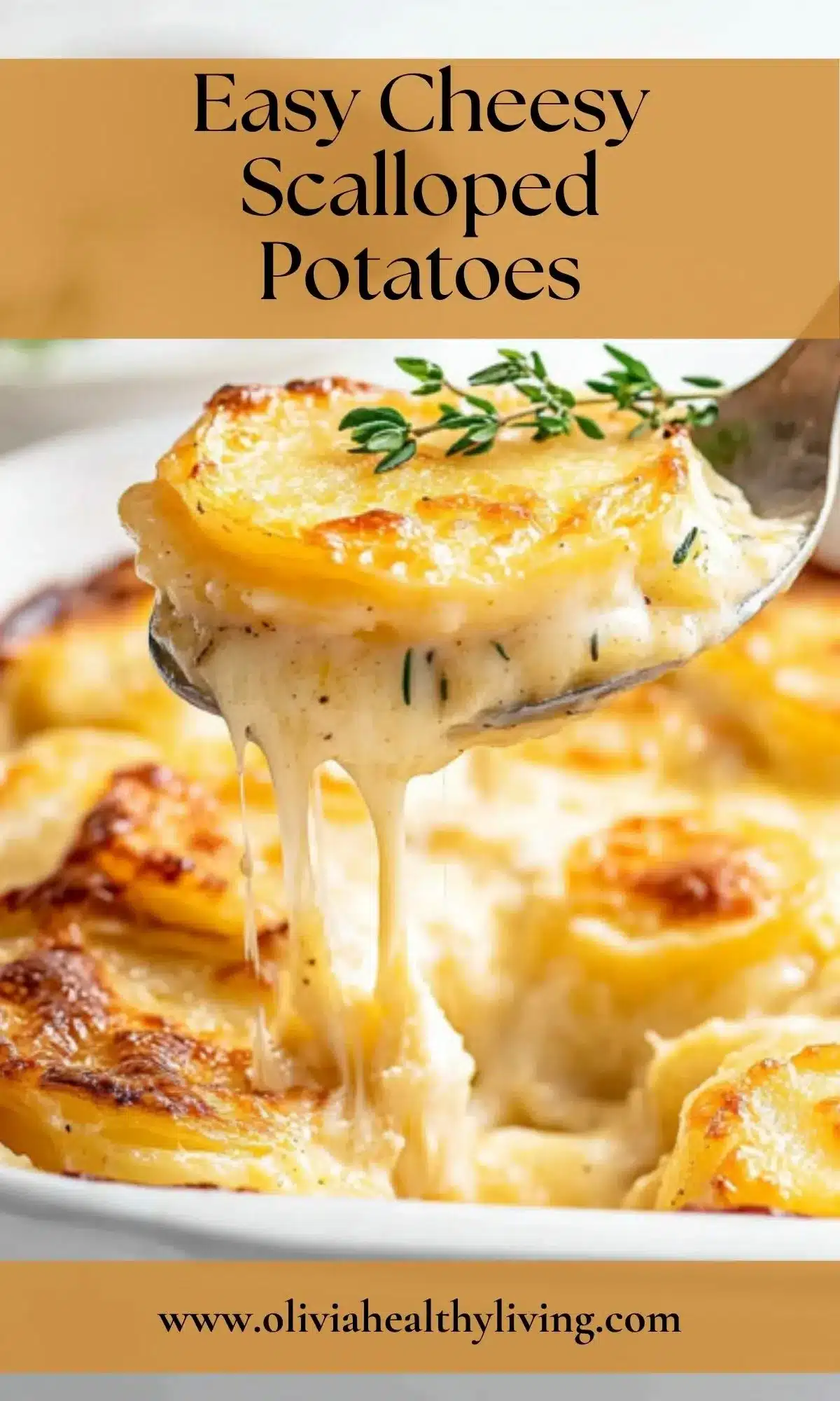A spoonful of golden, bubbly easy cheesy scalloped potatoes being lifted from a white baking dish, showing melted cheese stretching and fresh thyme garnish