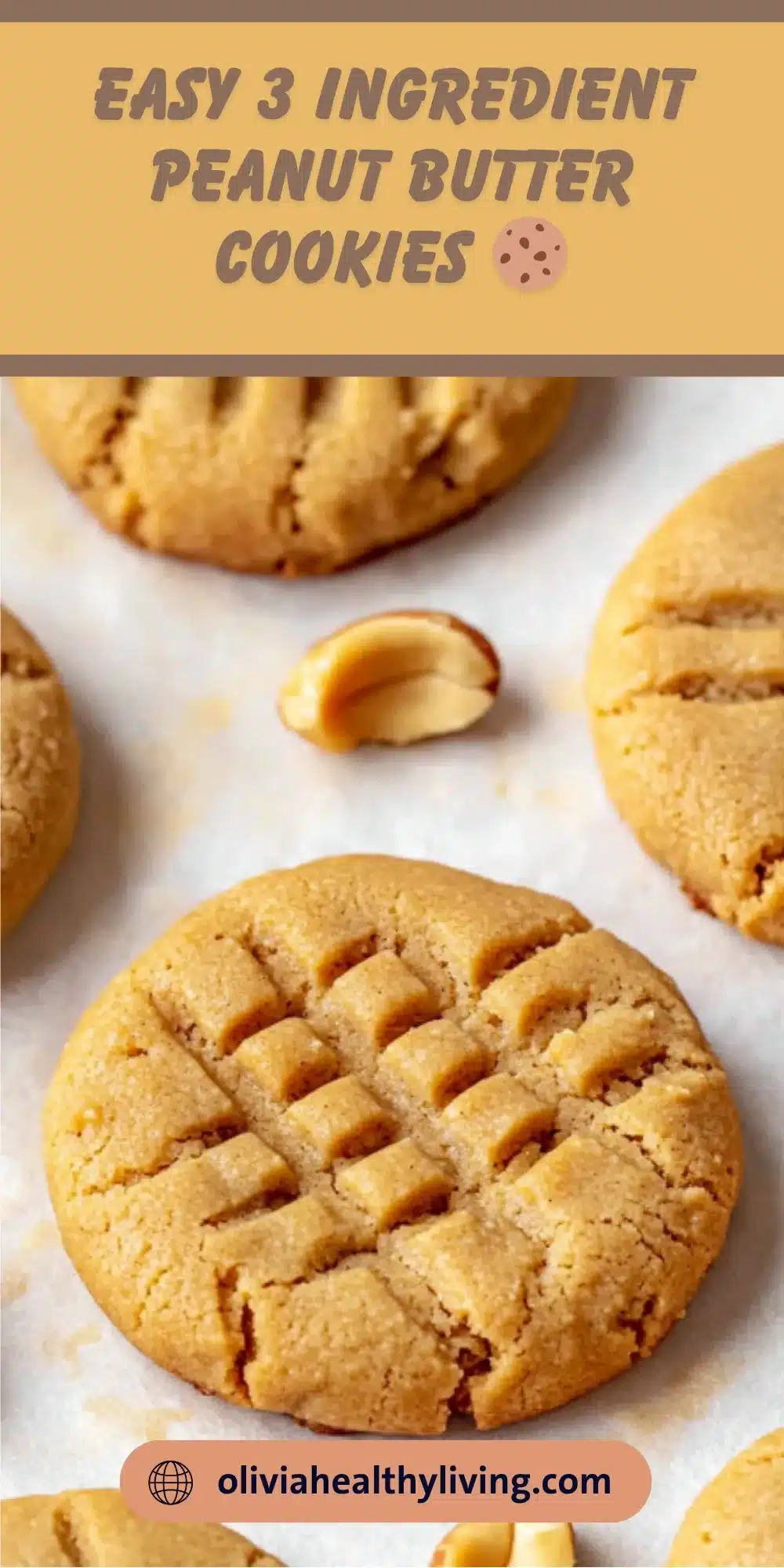Easy 3 ingredient peanut butter cookies with classic crosshatch pattern on parchment paper with scattered peanuts