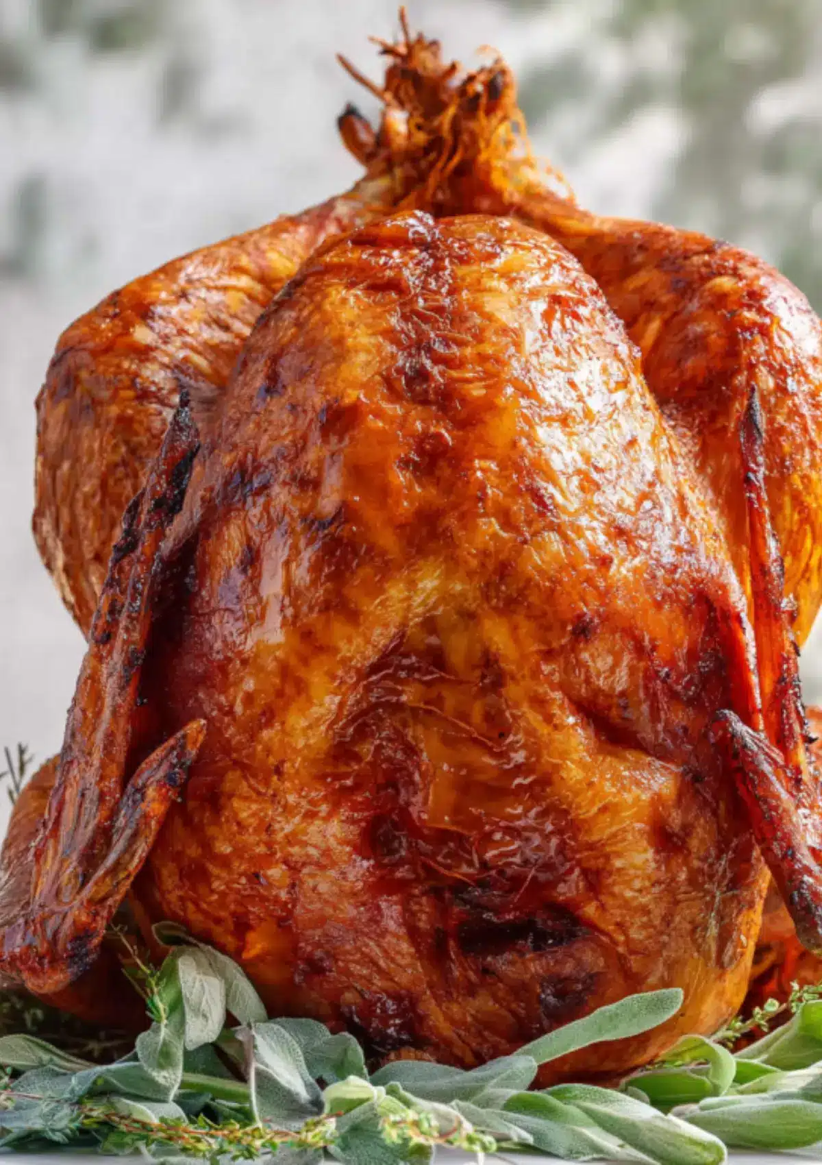 Close-up of crispy fried turkey with herb garnish