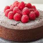 Side view of chocolate raspberry cake showing texture
