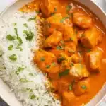 Professional food photography of slow cooker butter chicken and rice in ceramic bowl - glossy orange curry sauce with bite-sized chicken pieces topped with fresh cilantro
