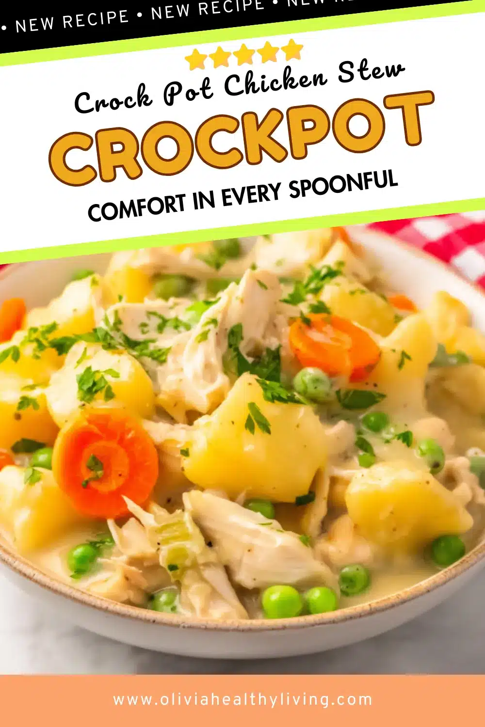 Close-up view of homemade chicken stew showing tender chicken pieces, vegetables, and creamy broth with fresh herbs